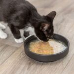 Kattensnack Vloeibaar met Kip en Zalm – Trixie - Afbeelding 4