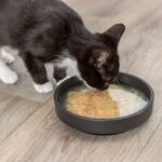 Kattenbouillon met Kip en Zalm voor Droogvoer – Trixie Kittis Salmon Soup - Afbeelding 3