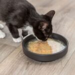 Kattensoep met Kip en Garnalen – Trixie Kittis - Afbeelding 4