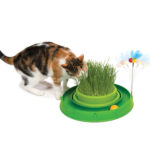 Kattenspeelset met Grasbak en Speelbaan – CATIT Play-n-Scratch
