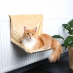 Kattenligbed met Afneembare Pluche voor Radiator – Trixie - Afbeelding 2