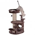 Krabpaal met Lage Opstapjes voor Senioren – Trixie Emil