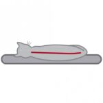 Krabpaal met Lage Opstapjes voor Senioren – Trixie Emil - Afbeelding 3