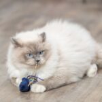 Kattenspeelgoed Pluche met Kattenkruid – Trixie - Afbeelding 2