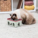 Speelbox met Twee Niveaus voor Katten – Trixie Rod Box Katzenspiel - Afbeelding 4