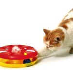 Kattenspeelring Rond 24 cm met Muis en Bal – Karlie Kitty