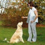 Kliktrainer met Twee Tonen voor Hondentraining – Karlie Doppelclicker - Afbeelding 2