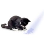 Kattenspeelgoed LED-pointer Muizenmotief – Karlie Flamingo - Afbeelding 2