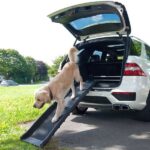 Autohondenramp Opvouwbaar Antislip – Karlie Flamingo Gentle Step - Afbeelding 4