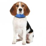 Koelbandana Gelgevuld Halsband – Karlie Flamingo Fresk