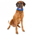 Koelbandana Gelgevuld Halsband – Karlie Flamingo Fresk - Afbeelding 3