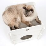 Kattenhuis Kubus Landhuisstijl – Vesper Cottage - Afbeelding 2