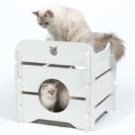 Kattenhuis Kubus Landhuisstijl – Vesper Cottage