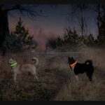 Verlichte Halsband LED Plat voor Langharige Honden – Karlie Flamingo Visio Light - Afbeelding 4