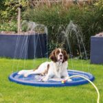 Honden Sproeimat Koelend Buiten – Karlie Splashy