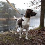 Halsband Extra Breed met Neopreen, Verstelbaar – Duvo EXPLOR Ultimate Fit Control - Afbeelding 4