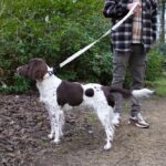 Halsband Extra Breed met Neopreen voor Wandelen – DUVO EXPLOR Ultimate Fit Control - Afbeelding 4