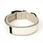 Honden Halsband Neopreen Reflecterend – DUVO EXPLOR Ultimate Fit Comfy - Afbeelding 2