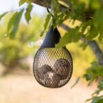 Vogelvoederdispenser met Afneembaar Deksel voor Mezenbollen en Pinda's – Trixie - Afbeelding 4