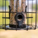 Voederdispenser met Beschermrooster voor Kleine Vogels – Trixie - Afbeelding 3