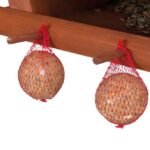 Voederhuis met Silo en Standaard voor Tuinvogels – Trixie - Afbeelding 2