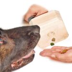 Apportersnack Voedselmotivatie 500 g – Karlie LIND-ART