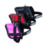 Hondenharnas Comfort voor Mini-rassen en Puppy's – Karlie Teeny-Weeny - Afbeelding 2