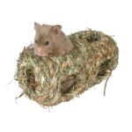 Grasnest 100% Natuurlijk Klein voor Hamsters en Muizen – Trixie 9 x 18 cm