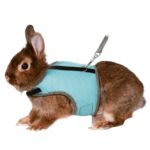 Harnas Zacht Gepolsterd voor Konijnen – Trixie