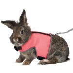 Tuigje Zacht voor Grote Konijnen – Trixie