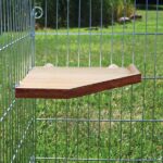 Ligplank van Natuurhout voor Knaagdieren – Trixie - Afbeelding 2