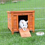 Knaagdierhuis van Behandeld Dennenhout voor Konijn en Cavia – Trixie Natura