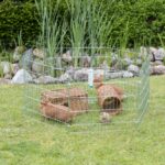 Knaagdierenren 6-delig Verzinkt met Deur – Trixie ElemEend