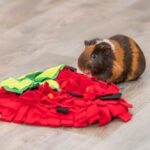 Snuffelkleed Aardbei voor Knaagdieren – Trixie - Afbeelding 4