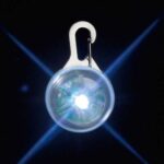 Veiligheidslicht LED voor Halsband en Tuig – Karlie Blinki Disc