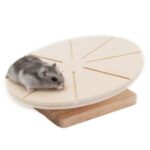 Loopplaat van Gummihout voor Hamsters en Muizen – Living World Green