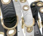 Halsband Zwart met Gouden Beslag – Karlie NOBLE LINE - Afbeelding 3