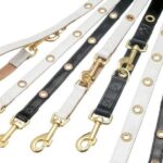 Honden Riem met Gouden Beslag – Karlie NOBLE LINE