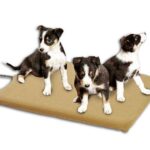 Vlieshoes Wasbaar voor Verwarmingsmat Klein – Karlie THERMO MASTER