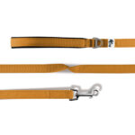 Honden Riem Nylon – Curli Basic