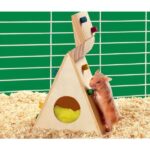 Klimwand van Echt Hout voor Hamsters en Muizen – Karlie Wonderland
