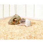 Grasnest Verteerbaar Iglu om te Hangen of te Leggen – Karlie