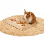 Knaagdier Activiteitenspeelbord met Houten Voerballen – Karlie Rody