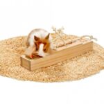 Knaagdier Activiteitenspeelgoed Houten Kastjes met Trekkoord en 6 Blokken – Karlie Rody Brain Train