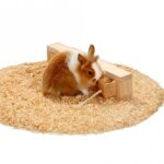 Knaagdier Activiteitenspeelgoed Houten Kastjes met Trekkoord en 6 Blokken – Karlie Rody Brain Train - Afbeelding 3