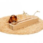 Knaagdier Activiteitenspeelgoed Houten Kastjes met Trekkoord en 6 Blokken – Karlie Rody Brain Train - Afbeelding 4