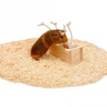 Knaagdier Denkspel Houten Trekbox – Karlie Rody Brain Train Cube - Afbeelding 2