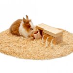 Knaagdier Denkspel Houten Trekbox – Karlie Rody Brain Train Cube