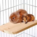 Zitplank van Natuurlijk Hout voor Knaagdierkooi – Karlie