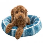 Pluche Mand Rond 50 cm – Trixie Lumi